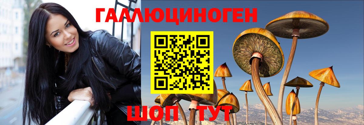 Псилоцибиновые грибы мухоморы Саянск